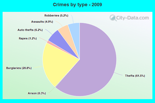 Crimes by type - 2009