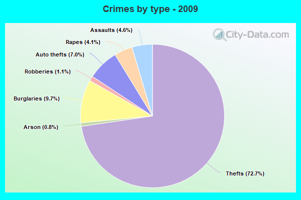 Crimes by type - 2009