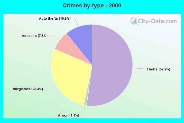 Crimes by type - 2009