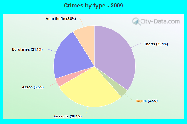 Crimes by type - 2009