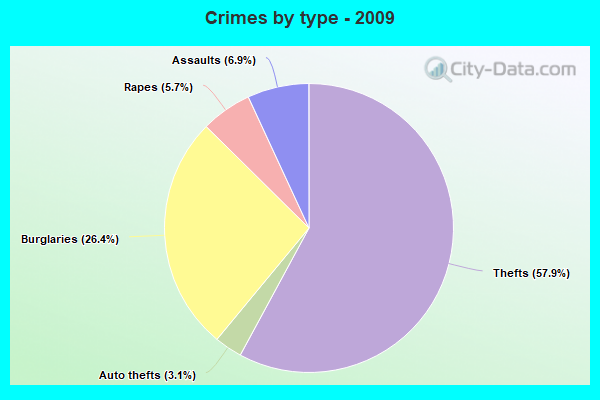 Crimes by type - 2009