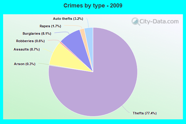 Crimes by type - 2009