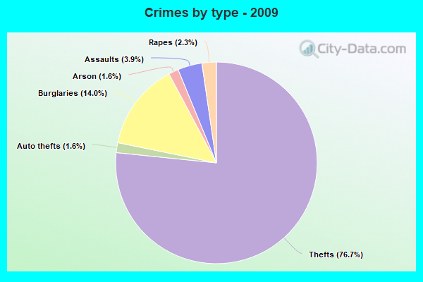 Crimes by type - 2009