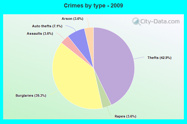 Crimes by type - 2009