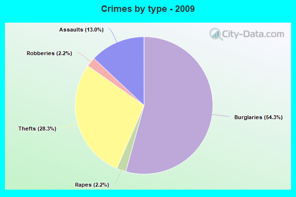 Crimes by type - 2009