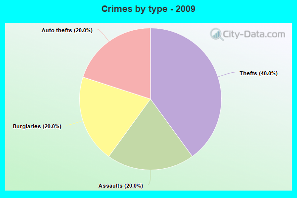 Crimes by type - 2009