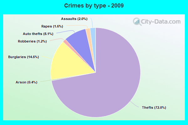 Crimes by type - 2009