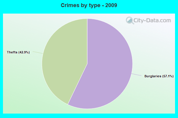 Crimes by type - 2009