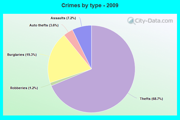 Crimes by type - 2009