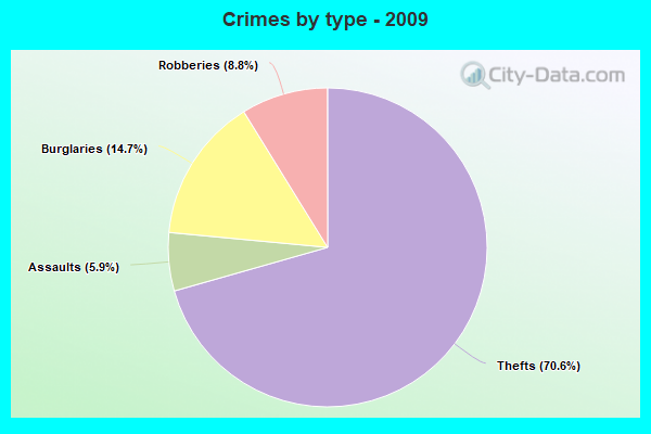 Crimes by type - 2009