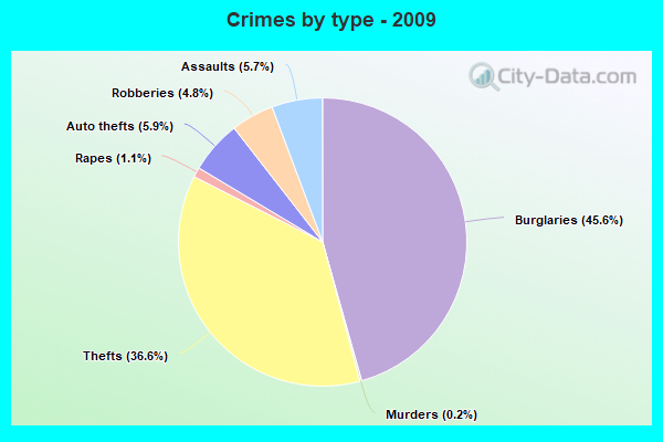 Crimes by type - 2009