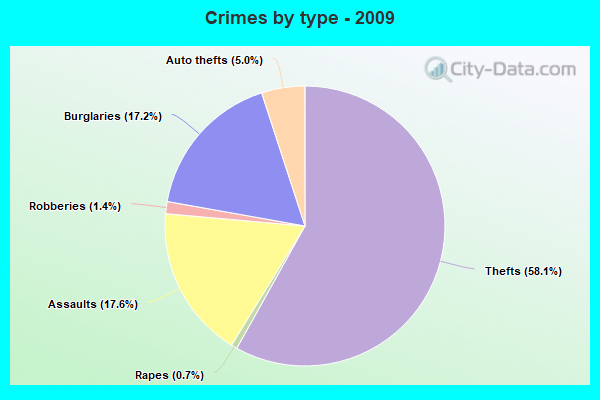 Crimes by type - 2009