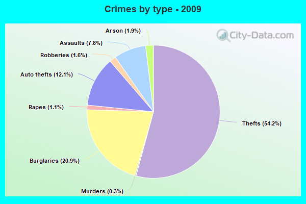 Crimes by type - 2009