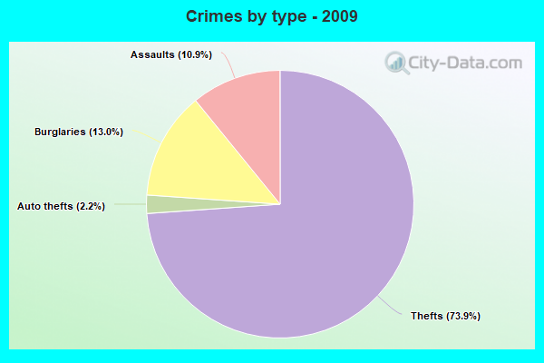 Crimes by type - 2009