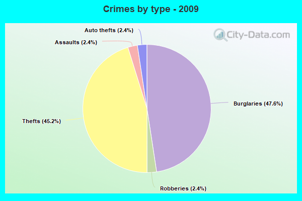 Crimes by type - 2009