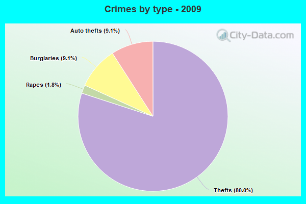 Crimes by type - 2009