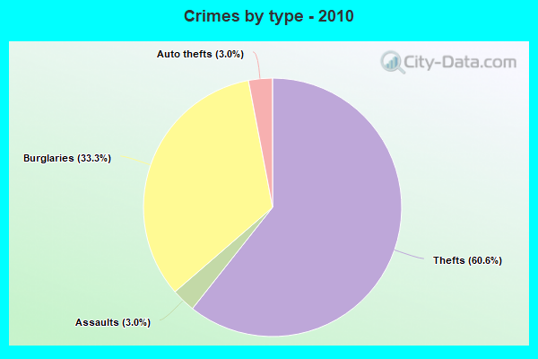 Crimes by type - 2010