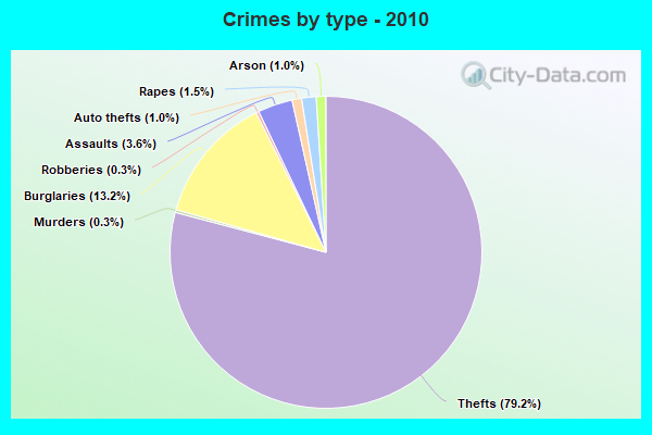 Crimes by type - 2010