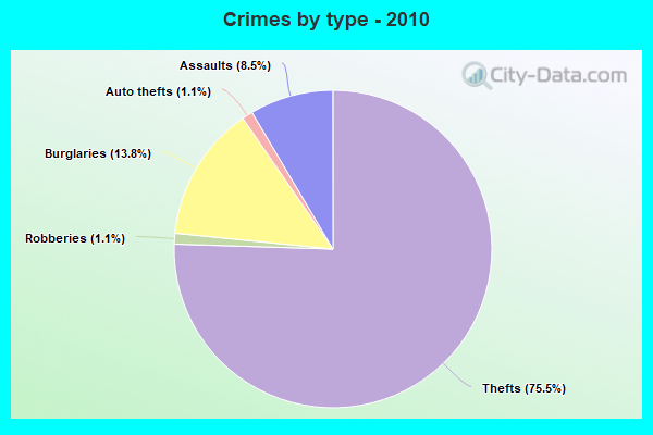 Crimes by type - 2010