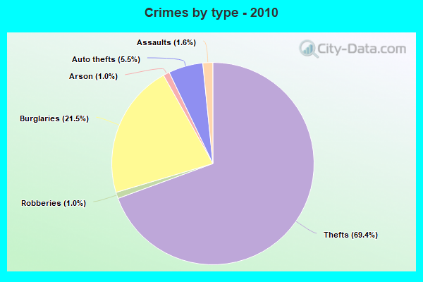 Crimes by type - 2010