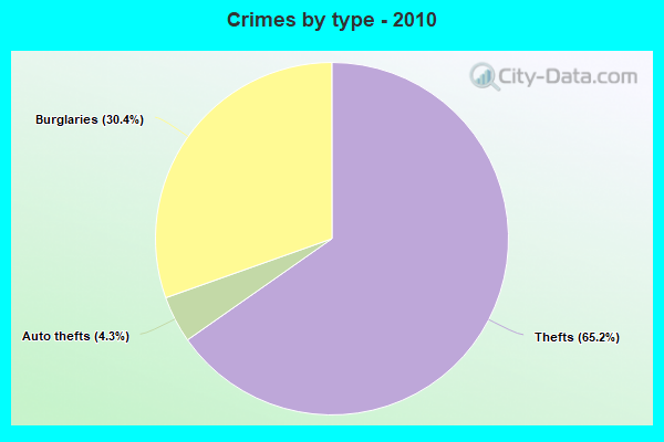 Crimes by type - 2010