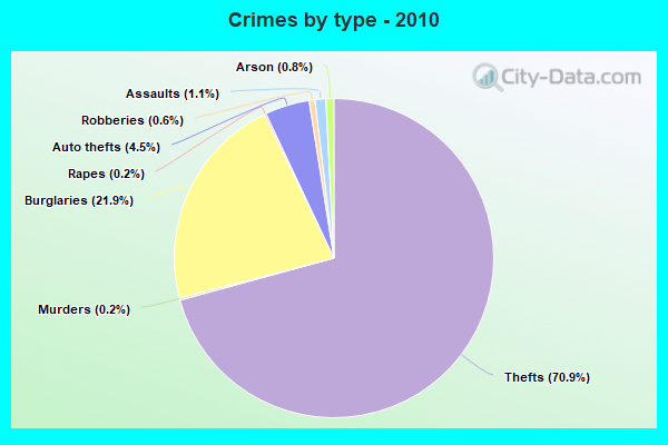 Crimes by type - 2010