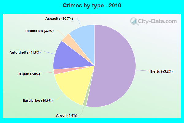 Crimes by type - 2010