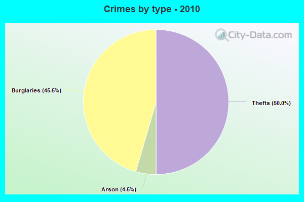 Crimes by type - 2010