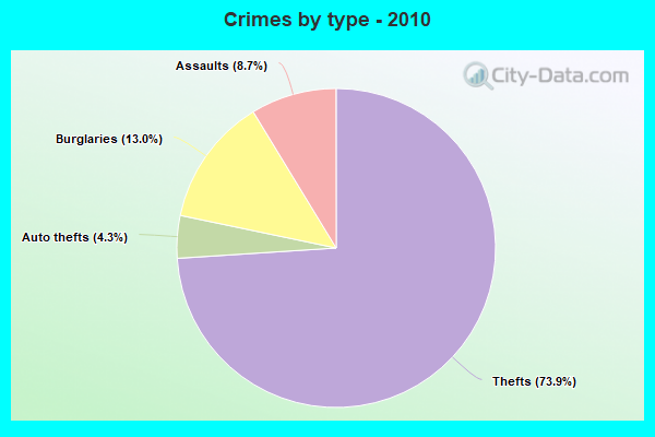 Crimes by type - 2010