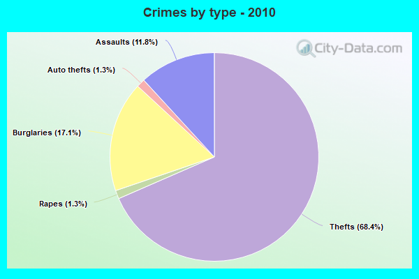 Crimes by type - 2010