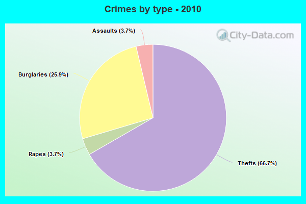 Crimes by type - 2010