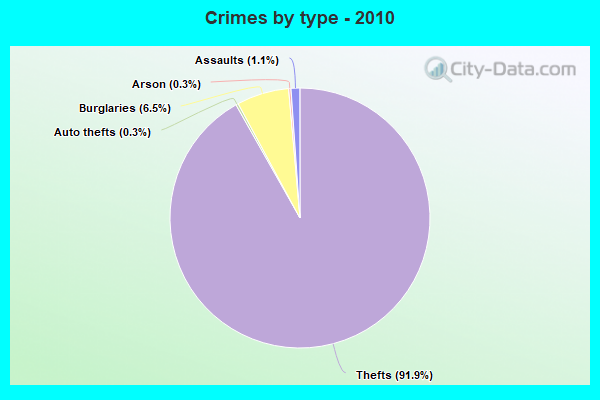 Crimes by type - 2010