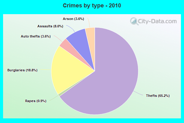 Crimes by type - 2010