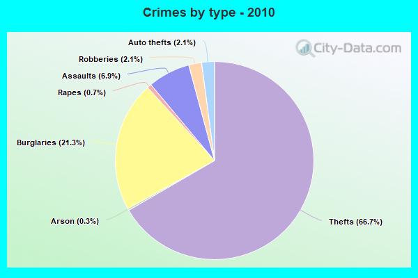 Crimes by type - 2010