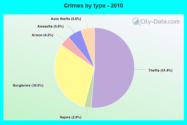 Crimes by type - 2010