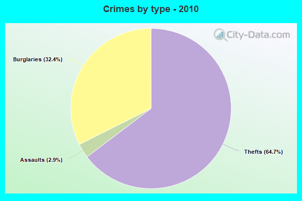 Crimes by type - 2010