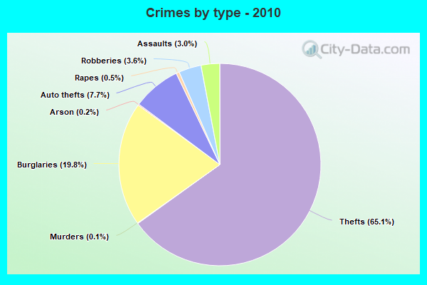 Crimes by type - 2010