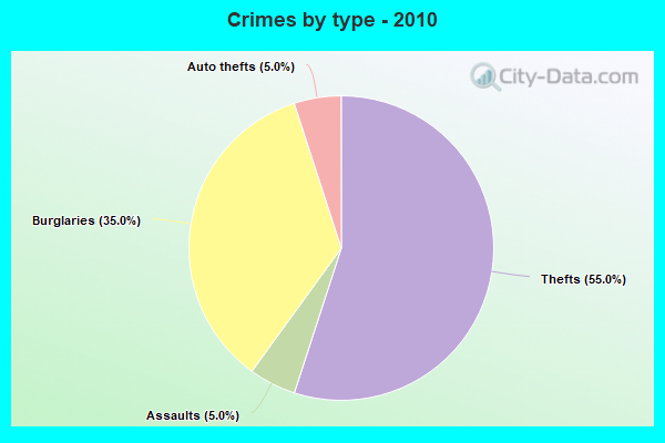 Crimes by type - 2010