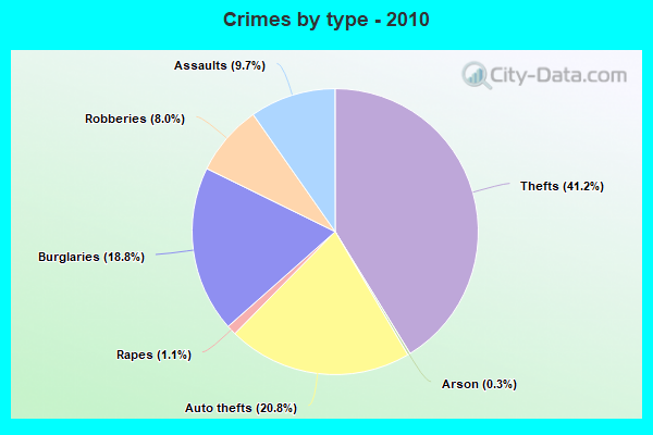 Crimes by type - 2010