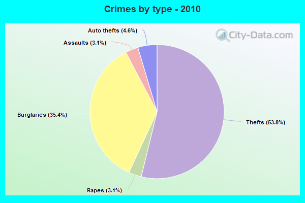 Crimes by type - 2010