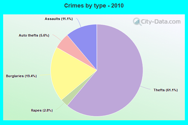 Crimes by type - 2010