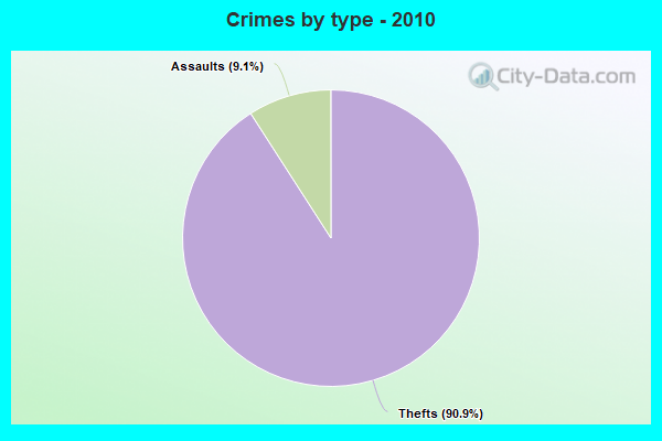 Crimes by type - 2010