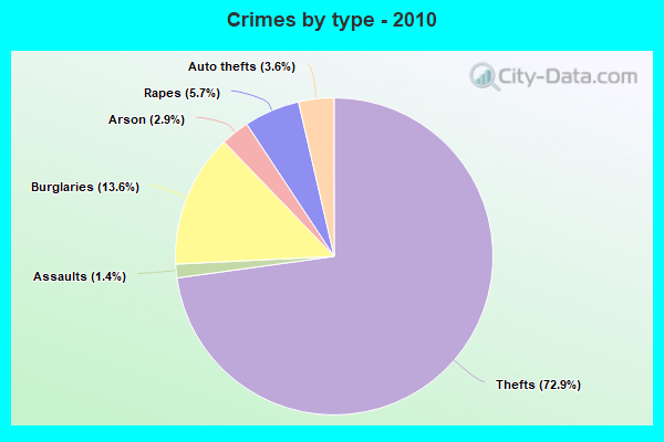 Crimes by type - 2010