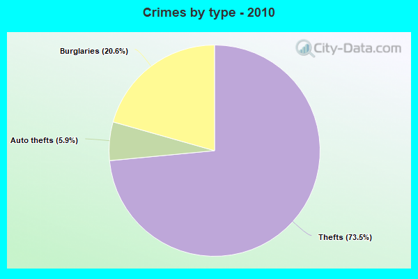 Crimes by type - 2010