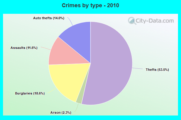 Crimes by type - 2010