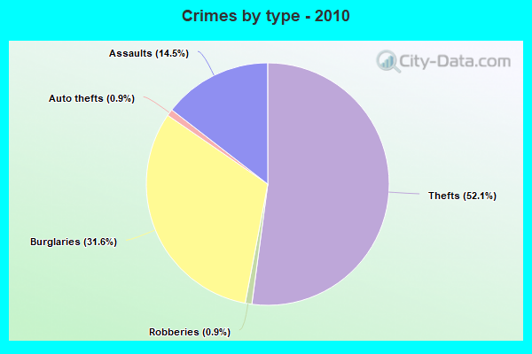 Crimes by type - 2010