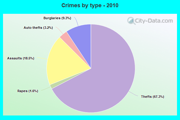 Crimes by type - 2010