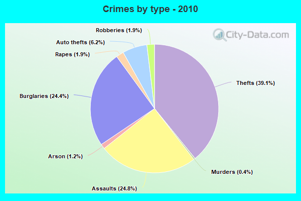 Crimes by type - 2010