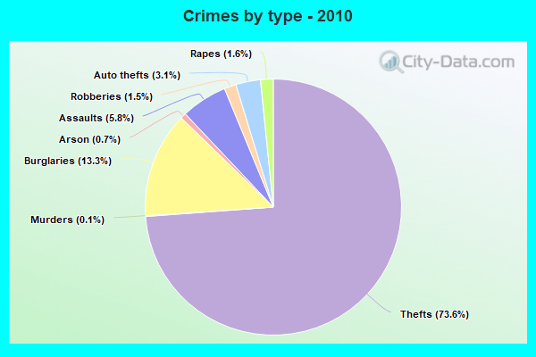 Crimes by type - 2010