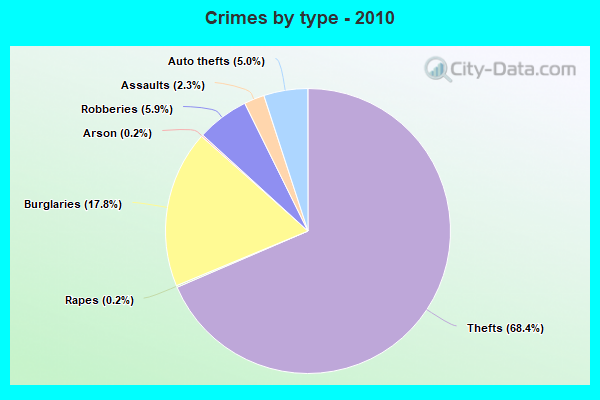 Crimes by type - 2010